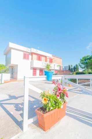 Paradise beb Giovinazzo Bagian luar foto