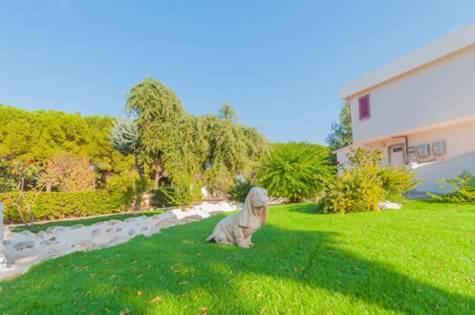 Paradise beb Giovinazzo Bagian luar foto